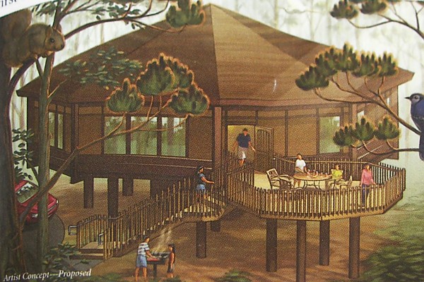 Disney Treehouse Villas